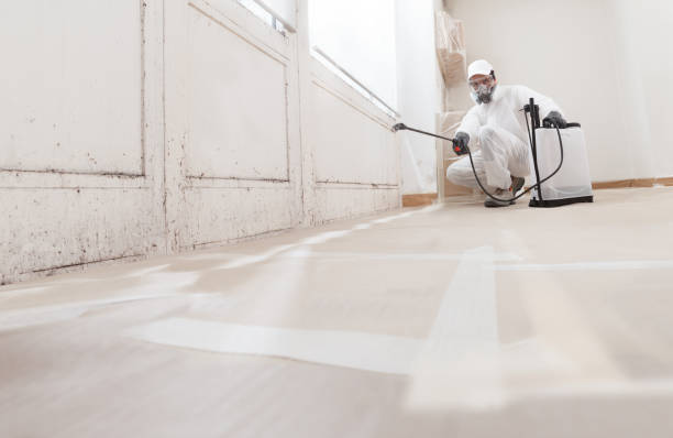 24/7 Emergency Mold Remediation experts in Withams, VA